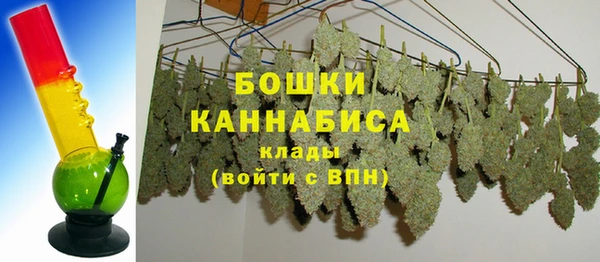 дурь Алзамай